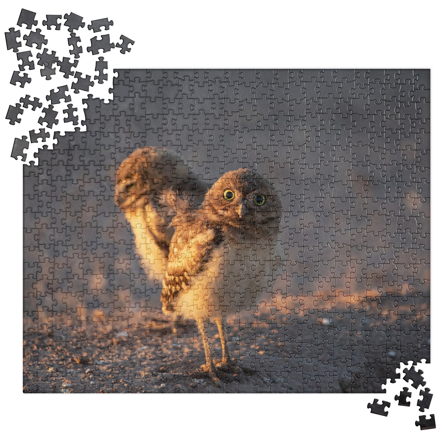 Burrowing Owls Duo by Leslie Leathers Photography | Jigsaw puzzle