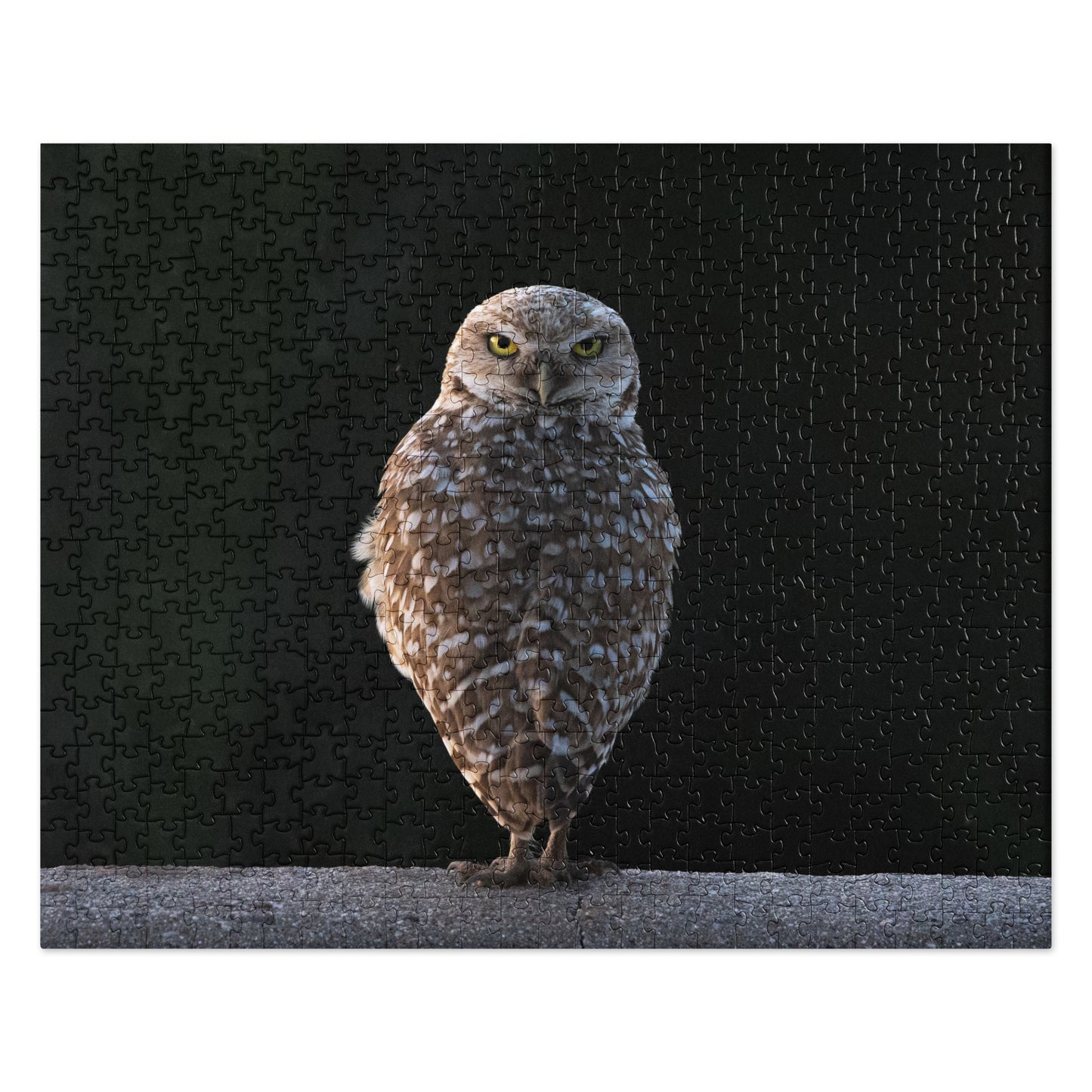 Burrowing Owl by Leslie Leathers Photography | Jigsaw puzzle