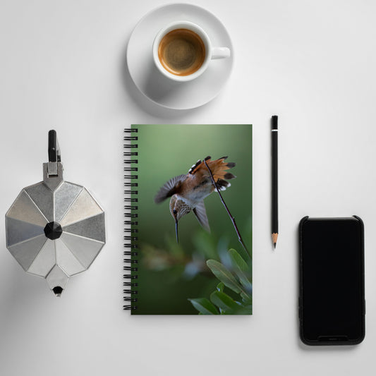 Rufous Hummingbird by Leslie Leathers Photography | Spiral notebook
