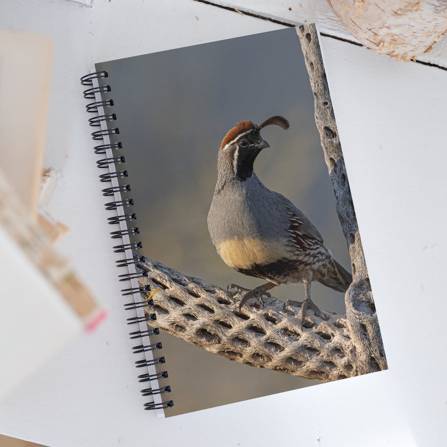 Quail on Cholla by Leslie Leathers Photography | Spiral notebook