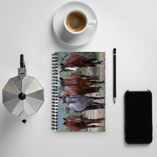 Dream Team by Leslie Leathers Photography | Spiral notebook