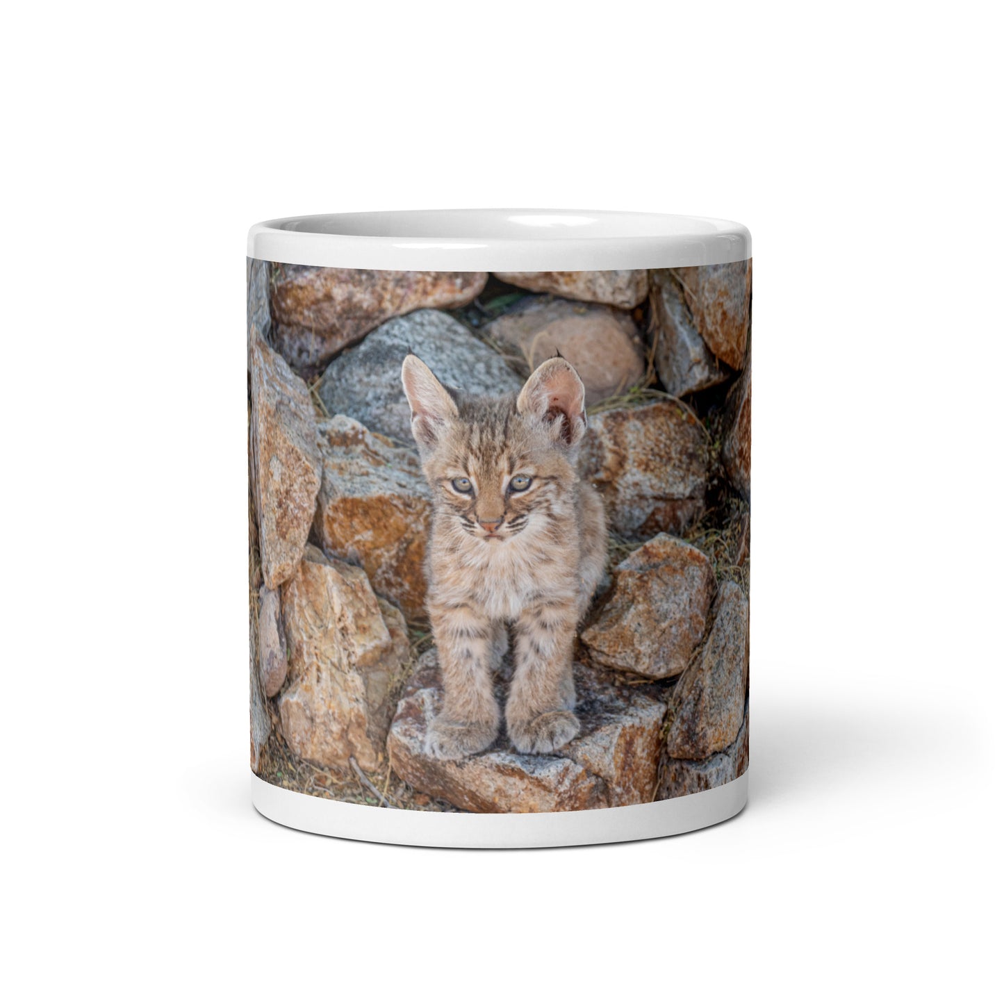 Baby Bobcat by Leslie Leathers Photography | White glossy mug