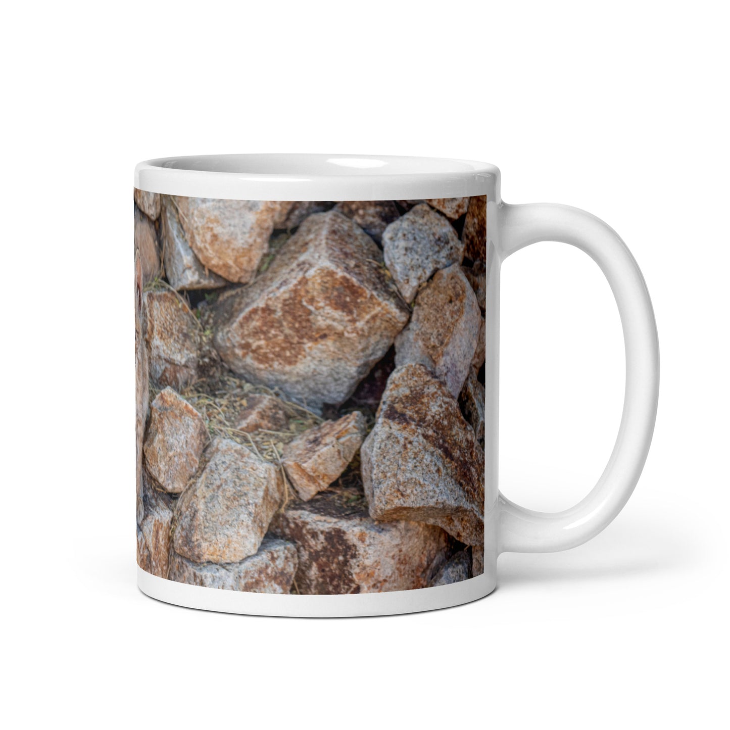 Baby Bobcat by Leslie Leathers Photography | White glossy mug